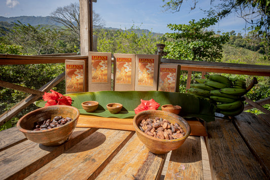 Rohkakao Masse - RIO DULCE