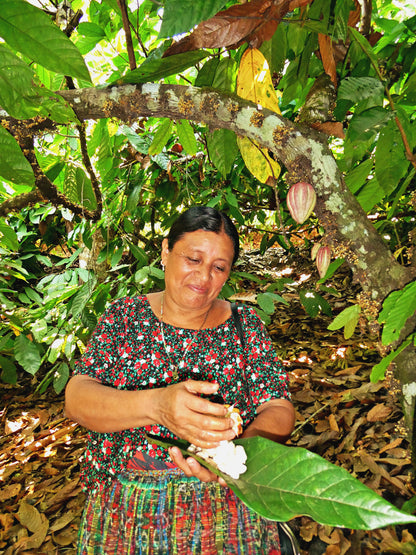 Zeremonieller Rohkakao - COBAN